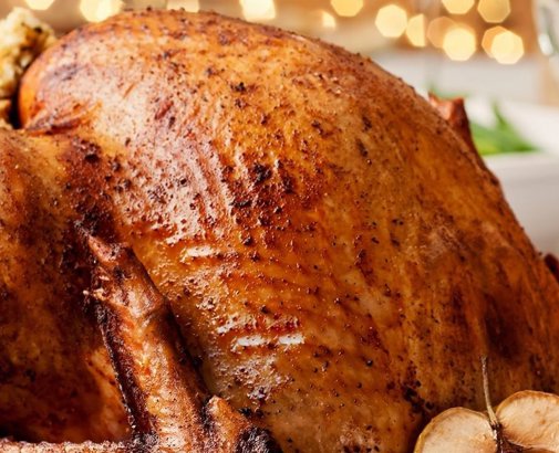 Thanksgiving Turkey close up